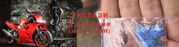 spice Аркадак