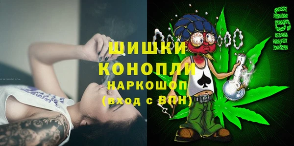 spice Аркадак